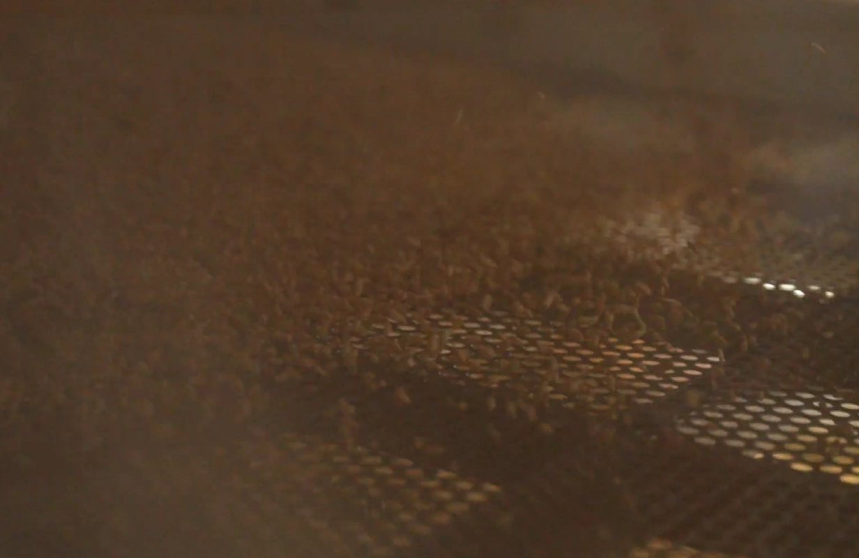Pre-Cleaning and Storage in hygienic silos